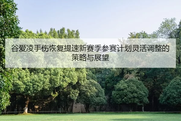 gu-ai-ling-shou-shang-hui-fu-ti-su-xin-sai-ji-can-sai-ji-hua-ling-huo-tiao-zheng-de-ce-lve-yu-zhan-wang-2-505.jpg
