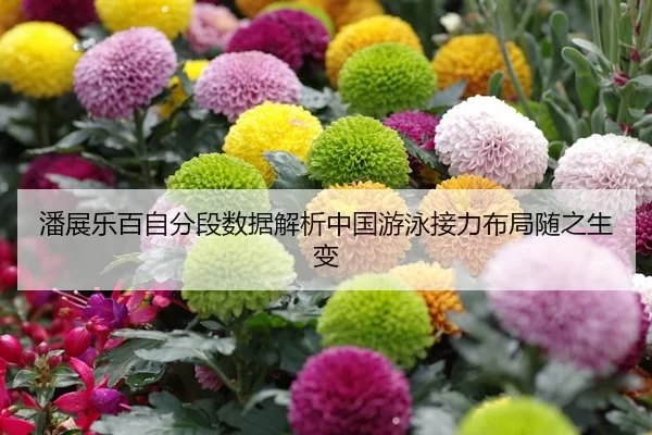 pan-zhan-le-bai-zi-fen-duan-shu-ju-jie-xi-zhong-guo-you-yong-jie-li-bu-ju-sui-zhi-sheng-bian-1-335.jpg