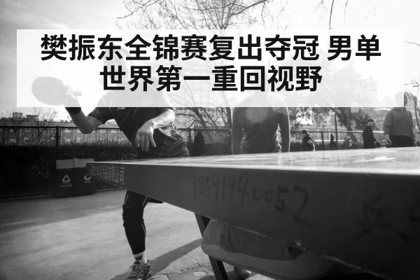 Fan Zhendong table tennis